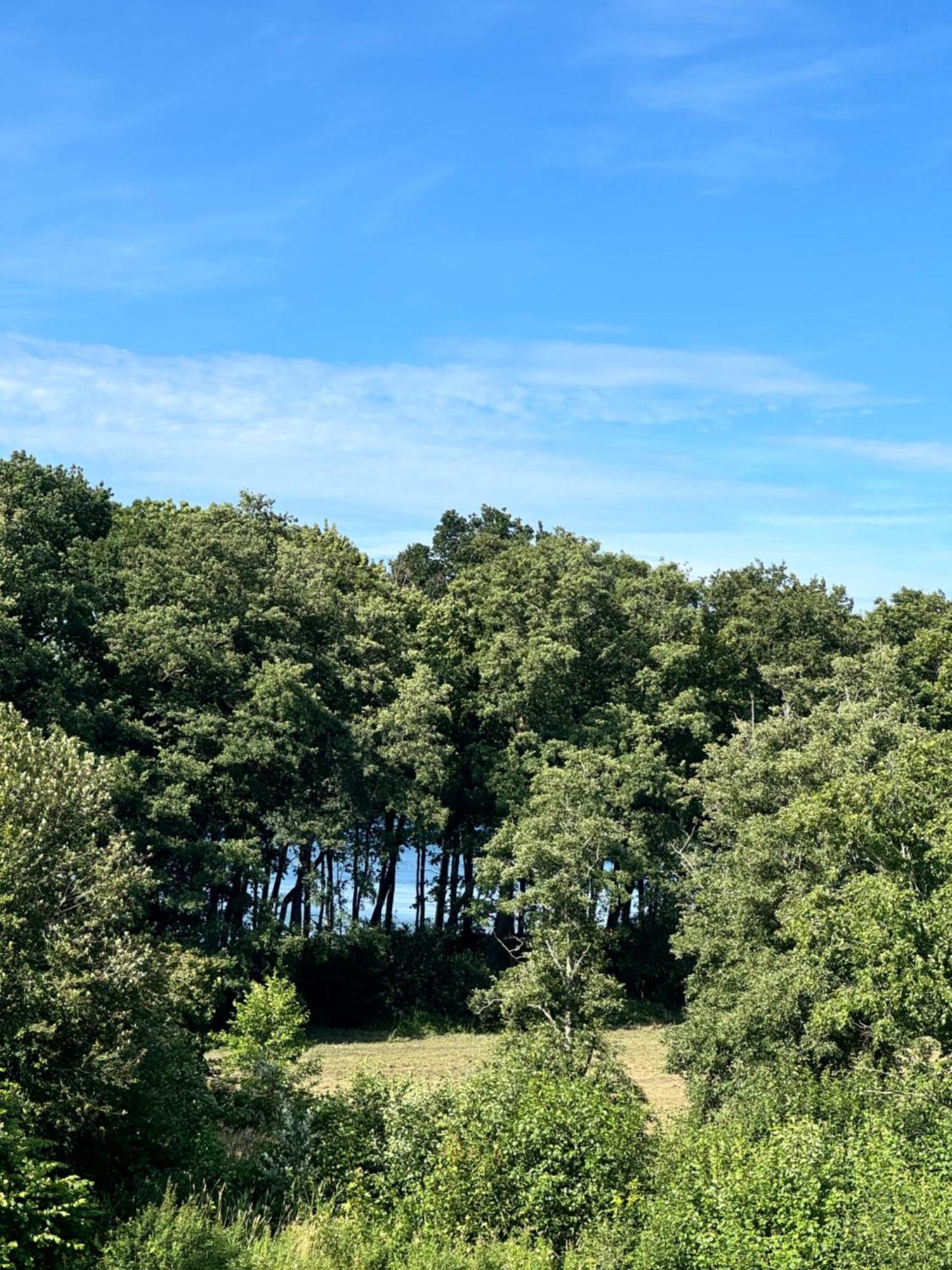 Zalotna Mewa Gaski Gąski Exterior foto